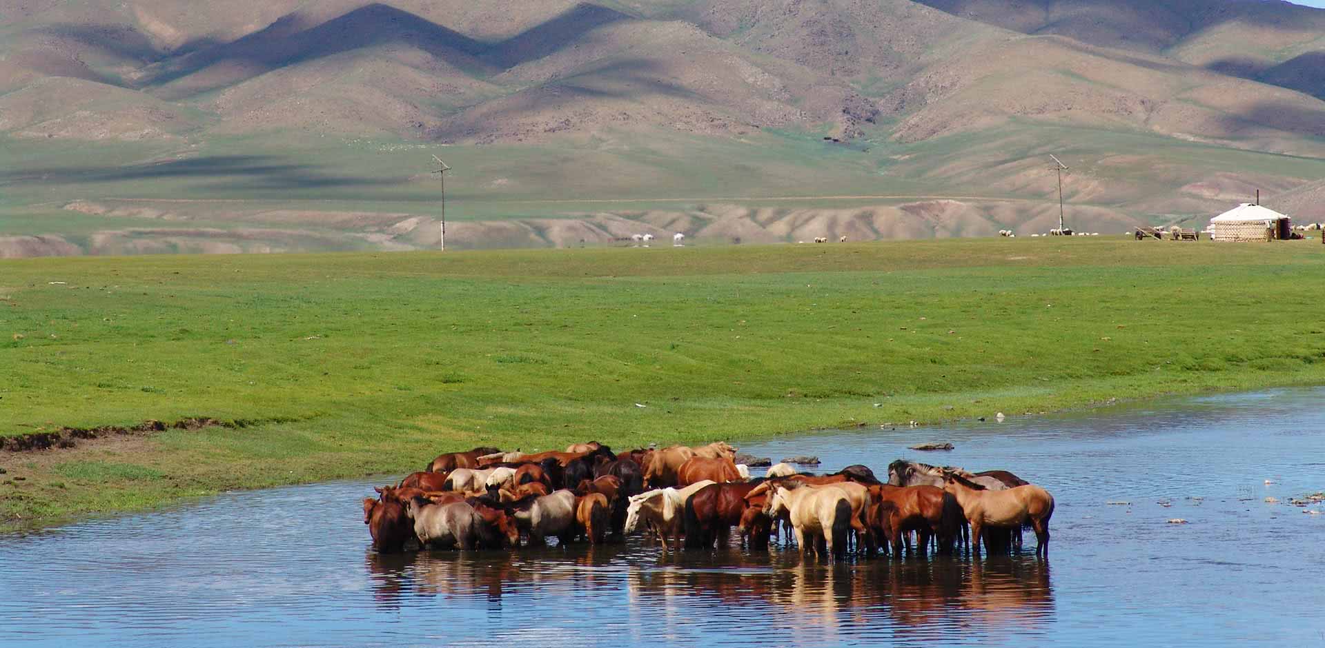 Mai-Cojuangco-Reflects-on-Mongolian-Journey-and-Digital-Disconnection-Insights